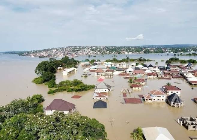 Flood kills 5, injures 55 others in Yola – NEMA Flood kills 5, injures 55 others in Yola – NEMA